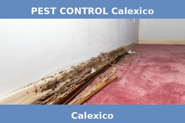 PEST CONTROL Calexico